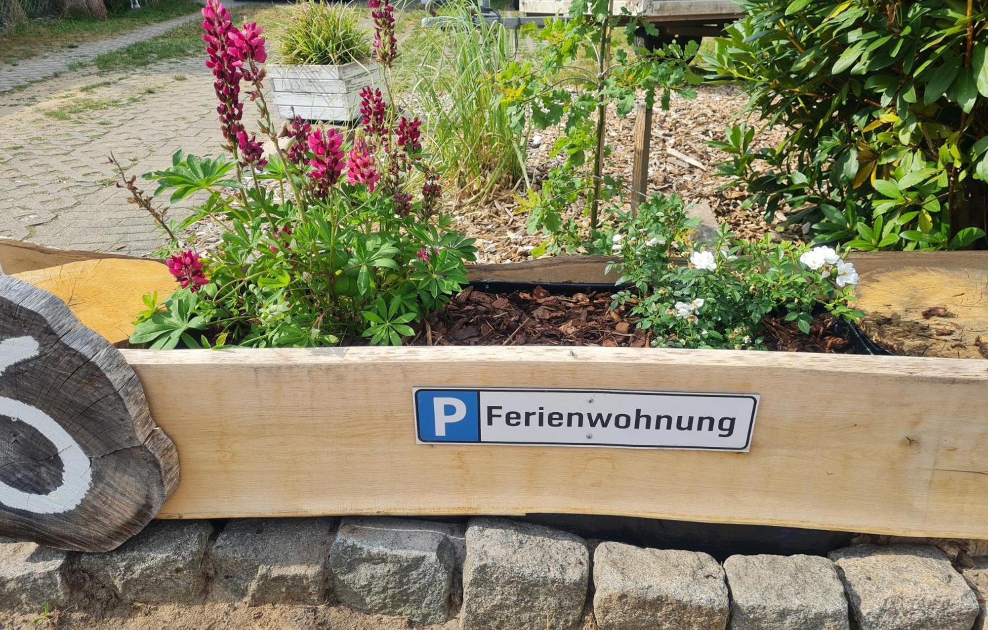 Ferienwohnung Im Winkel Hanstedt Extérieur photo